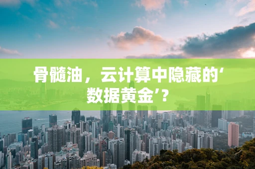 骨髓油，云计算中隐藏的‘数据黄金’？