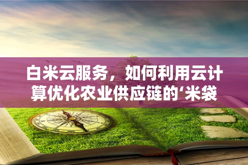 白米云服务，如何利用云计算优化农业供应链的‘米袋子’？