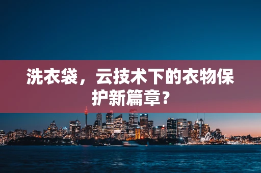 洗衣袋，云技术下的衣物保护新篇章？