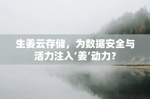 生姜云存储，为数据安全与活力注入‘姜’动力？