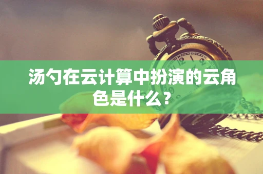 汤勺在云计算中扮演的云角色是什么？
