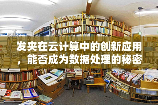 发夹在云计算中的创新应用，能否成为数据处理的秘密武器？