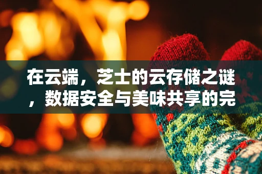 在云端，芝士的云存储之谜，数据安全与美味共享的完美平衡？