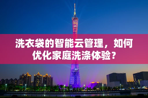 洗衣袋的智能云管理，如何优化家庭洗涤体验？