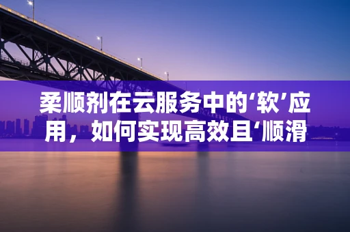柔顺剂在云服务中的‘软’应用，如何实现高效且‘顺滑’的客户体验？