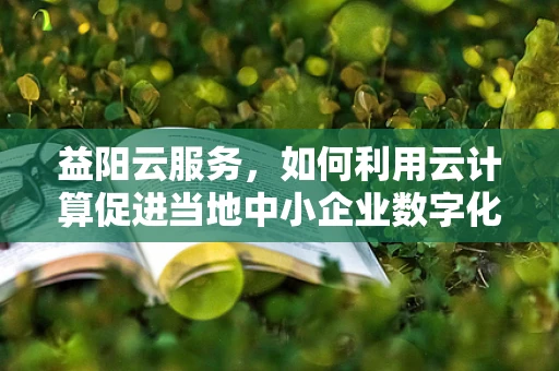 益阳云服务，如何利用云计算促进当地中小企业数字化转型？