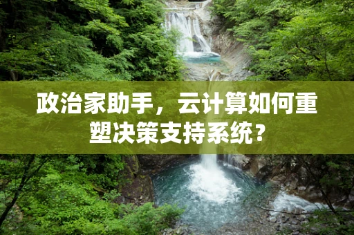 政治家助手，云计算如何重塑决策支持系统？