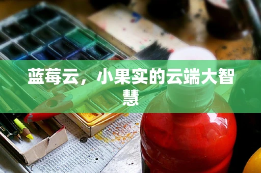 蓝莓云，小果实的云端大智慧