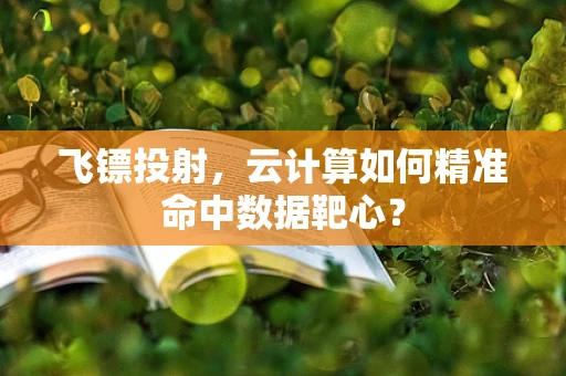 飞镖投射，云计算如何精准命中数据靶心？