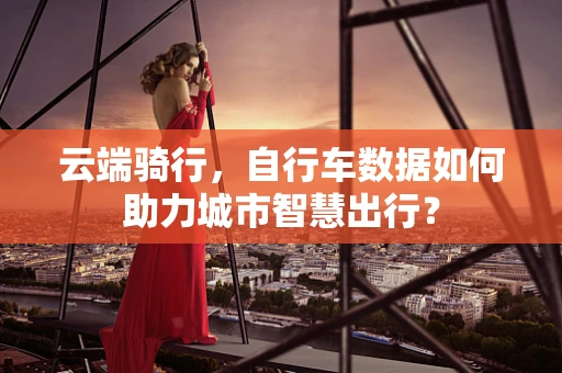 云端骑行，自行车数据如何助力城市智慧出行？