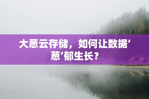 大葱云存储，如何让数据‘葱’郁生长？