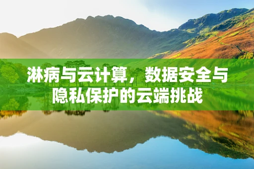 淋病与云计算，数据安全与隐私保护的云端挑战