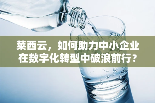 莱西云，如何助力中小企业在数字化转型中破浪前行？
