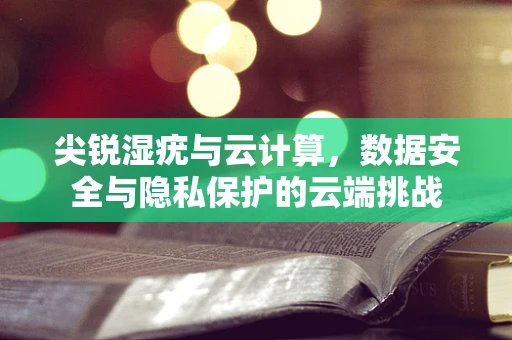 尖锐湿疣与云计算，数据安全与隐私保护的云端挑战