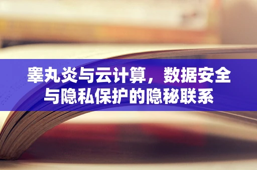 睾丸炎与云计算，数据安全与隐私保护的隐秘联系