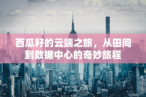 西瓜籽的云端之旅，从田间到数据中心的奇妙旅程