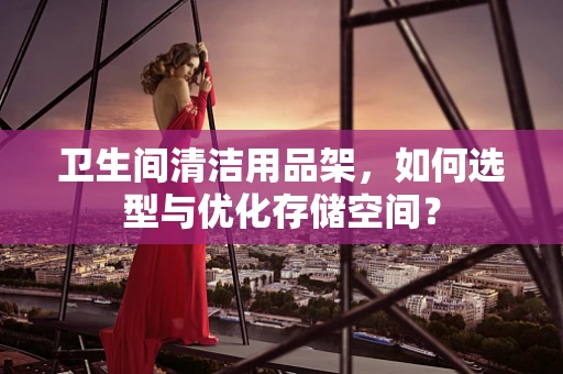 卫生间清洁用品架，如何选型与优化存储空间？