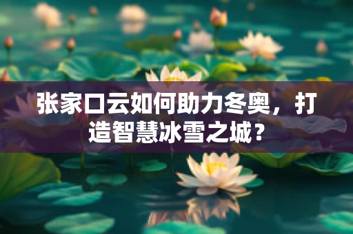 张家口云如何助力冬奥，打造智慧冰雪之城？