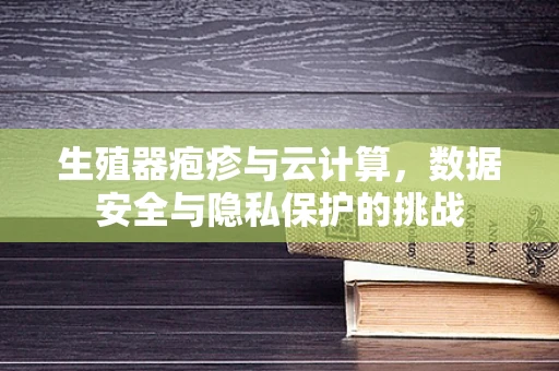 生殖器疱疹与云计算，数据安全与隐私保护的挑战