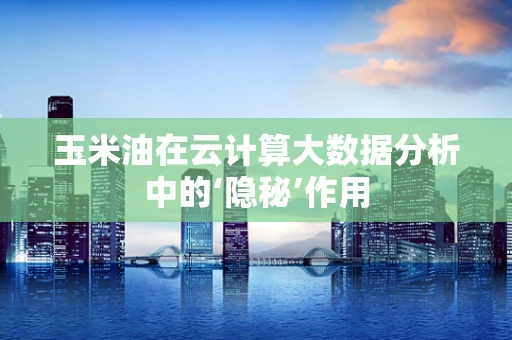 玉米油在云计算大数据分析中的‘隐秘’作用
