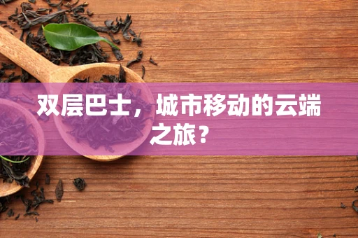 双层巴士，城市移动的云端之旅？
