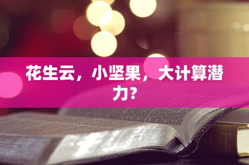 花生云，小坚果，大计算潜力？