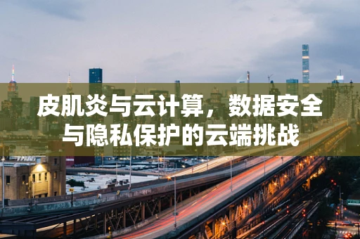 皮肌炎与云计算，数据安全与隐私保护的云端挑战