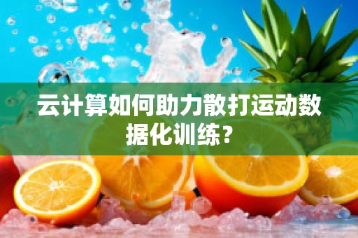 云计算如何助力散打运动数据化训练？