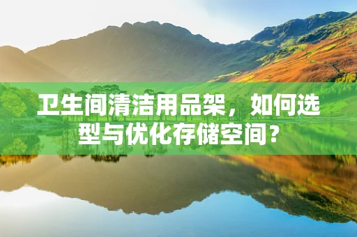 卫生间清洁用品架，如何选型与优化存储空间？