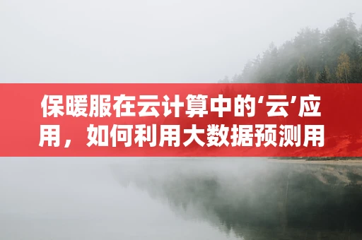 保暖服在云计算中的‘云’应用，如何利用大数据预测用户需求？
