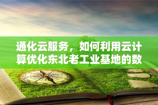 通化云服务，如何利用云计算优化东北老工业基地的数字化转型？