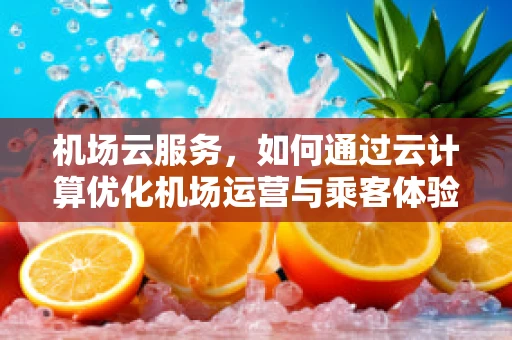 机场云服务，如何通过云计算优化机场运营与乘客体验？