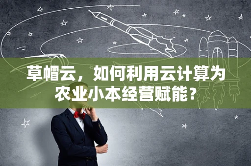 草帽云，如何利用云计算为农业小本经营赋能？