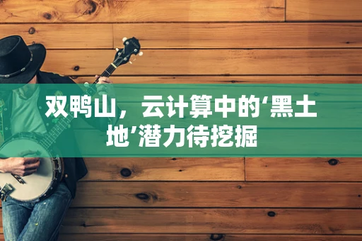 双鸭山，云计算中的‘黑土地’潜力待挖掘