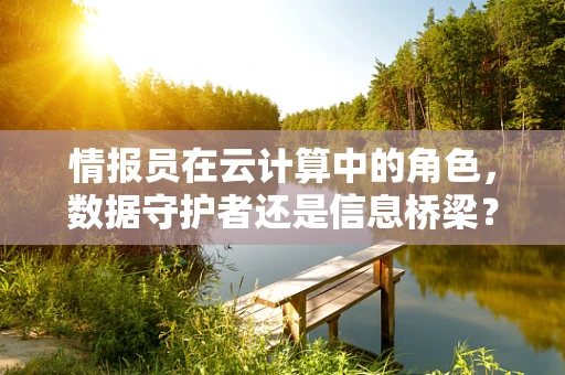 情报员在云计算中的角色，数据守护者还是信息桥梁？
