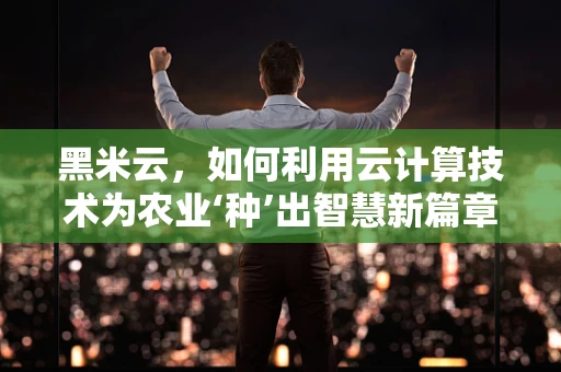 黑米云，如何利用云计算技术为农业‘种’出智慧新篇章？