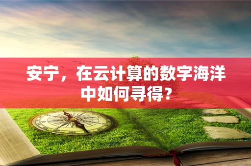 安宁，在云计算的数字海洋中如何寻得？