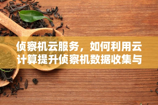 侦察机云服务，如何利用云计算提升侦察机数据收集与处理能力？
