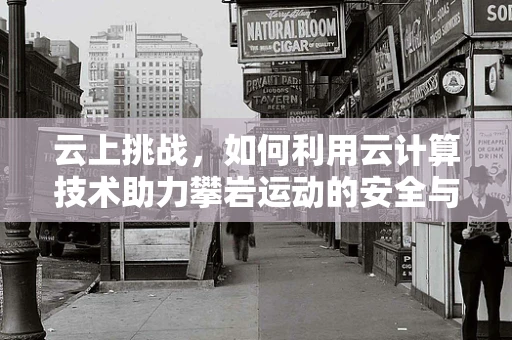 云上挑战，如何利用云计算技术助力攀岩运动的安全与效率提升？