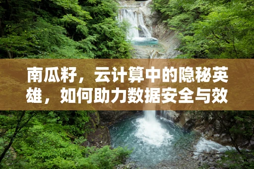 南瓜籽，云计算中的隐秘英雄，如何助力数据安全与效率？