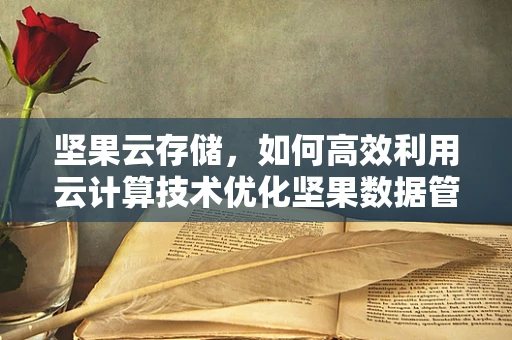 坚果云存储，如何高效利用云计算技术优化坚果数据管理？