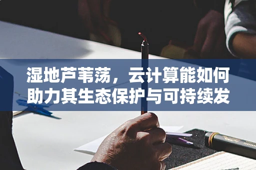 湿地芦苇荡，云计算能如何助力其生态保护与可持续发展？