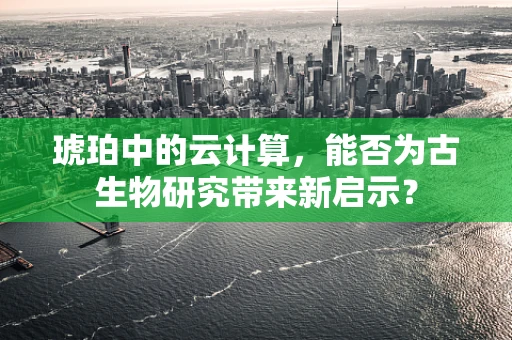 琥珀中的云计算，能否为古生物研究带来新启示？