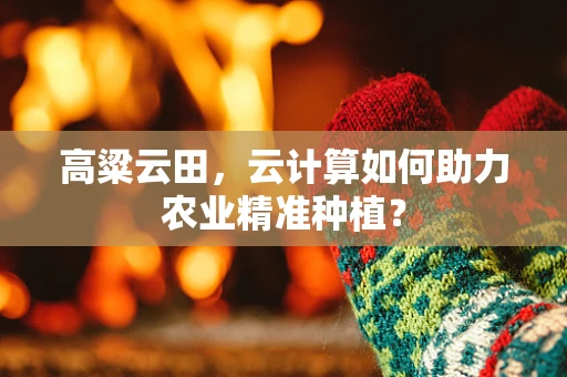 高粱云田，云计算如何助力农业精准种植？