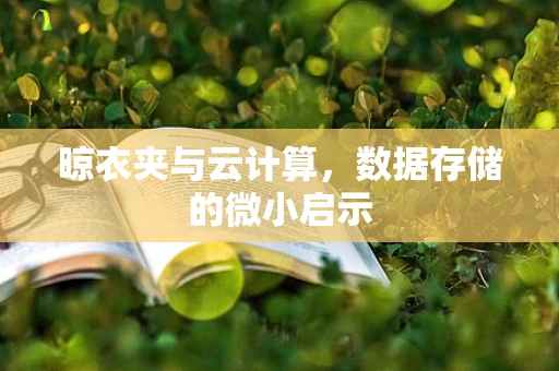 晾衣夹与云计算，数据存储的微小启示