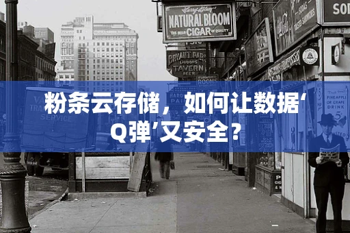 粉条云存储，如何让数据‘Q弹’又安全？