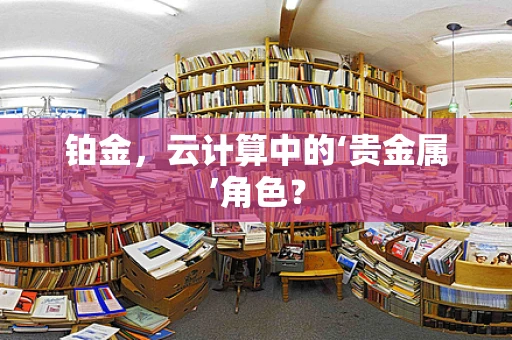 铂金，云计算中的‘贵金属’角色？