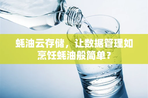 蚝油云存储，让数据管理如烹饪蚝油般简单？