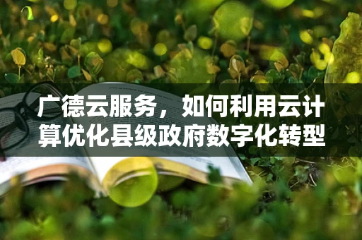 广德云服务，如何利用云计算优化县级政府数字化转型？