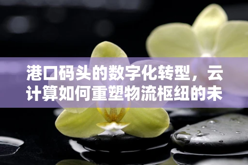 港口码头的数字化转型，云计算如何重塑物流枢纽的未来？